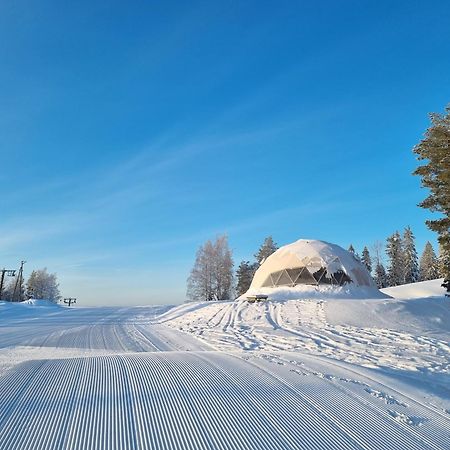Outdoor Hostel Laajis Jyväskylä Kültér fotó